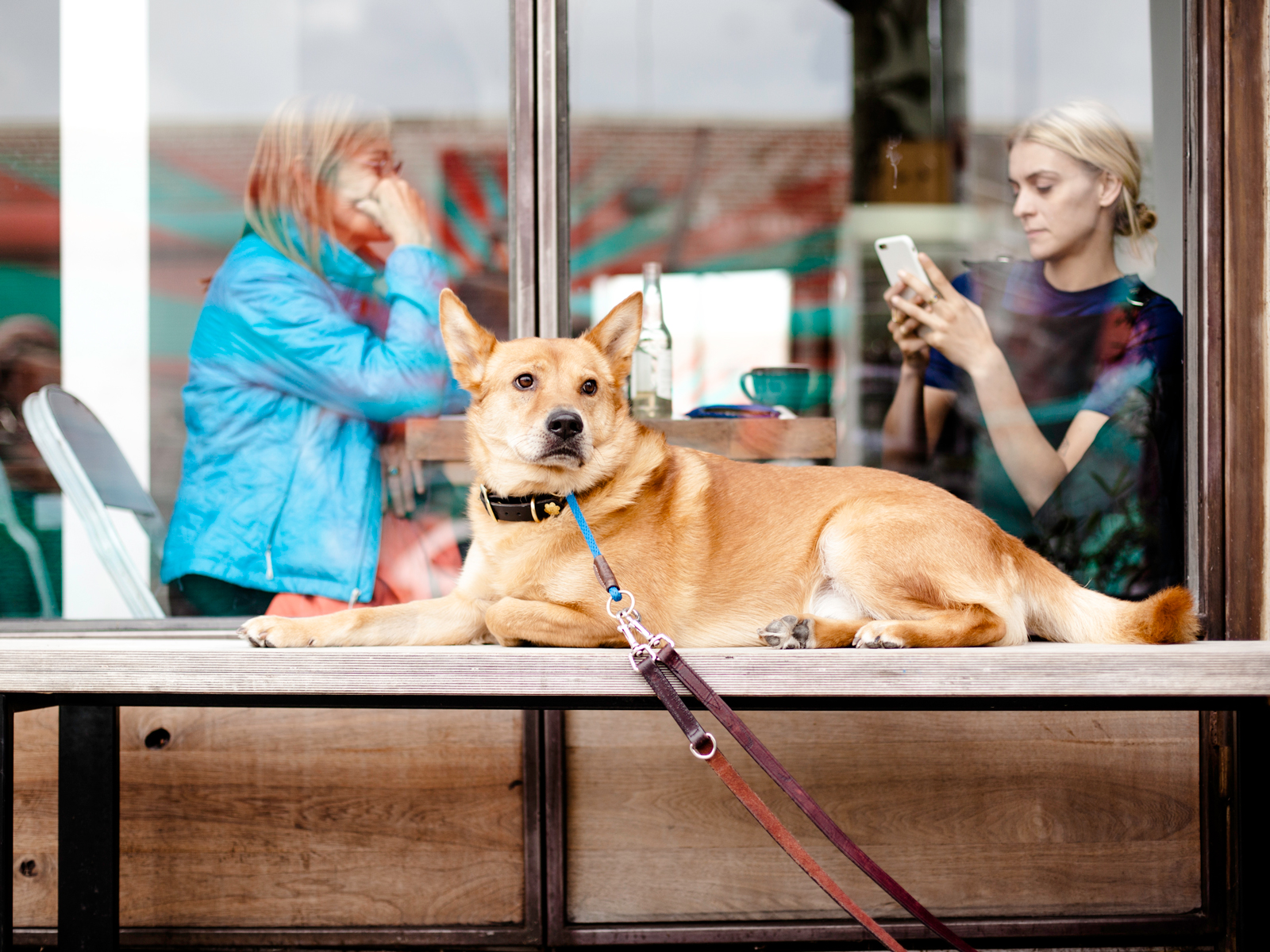 Woman on her phone with a dog in the foreground