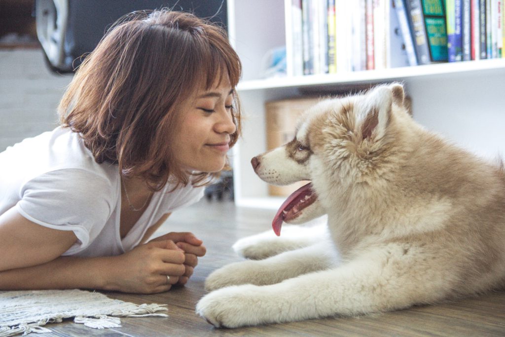 How Much Does It Cost To Hire A Dog Sitter In Atlanta GA How much does it cost to hire a dog sitter in atlanta ga