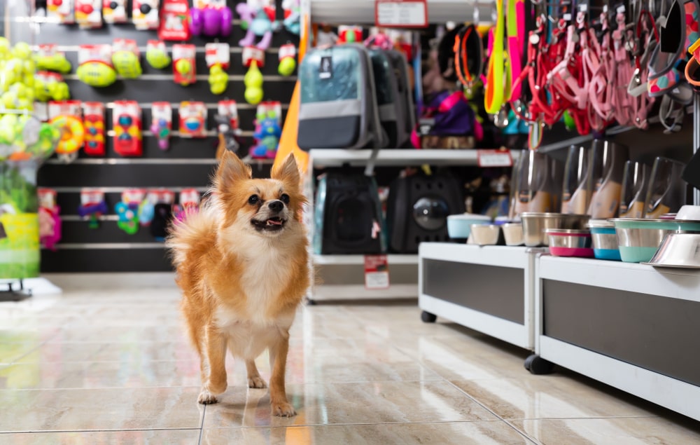 Good shop pet stores